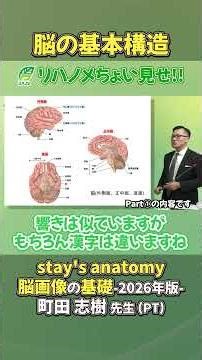 [Rehab Note] A sneak peek at Professor Shiki Machida's lecture: [Basic Structure of the Brain]