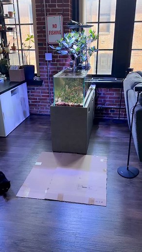 1.1K views · 71 reactions | 視a shallow cube tank will be next視 • •...