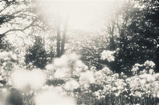 Exploring Coding with Julia: A Creative Journey