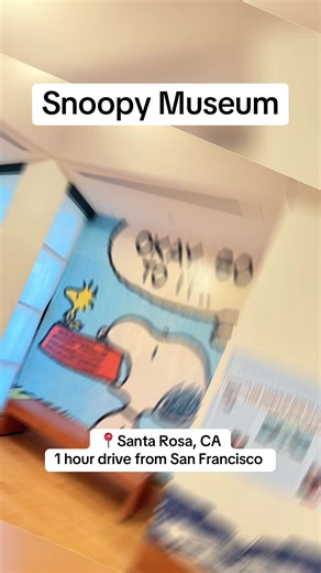 The Charles M. Schulz Museum in Santa Rosa, California, celebrates the life of the man who created Snoopy, Charlie Brown and the beloved Peanuts..#traveltiktok #snoopy #charliebrown #peanuts