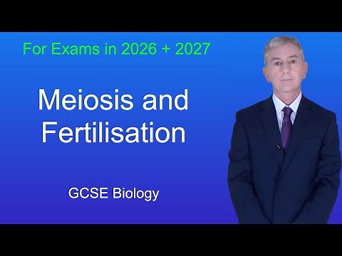 GCSE Biology Revision "Meiosis and Fertilisation"