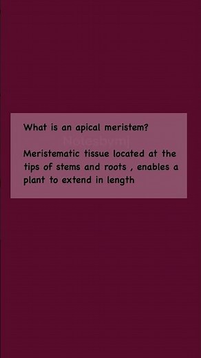 Apical Meristem: The Secret to Plant Growth! 🌱 Explained Quick