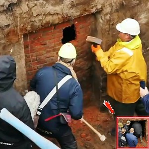 21K views · 139 reactions | “It's Not a Dream: We Uncovered a Real Million Dollar Treasure!” | My.kingdom | Facebook