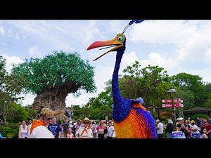 Kevin from Disney & Pixar's "Up" Roaming in Disney's Animal Kingdom, Walt Disney World - June 2022