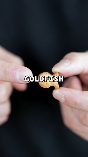 Reply to @nick.digiovanni the snacc that smiles back #goldfish #snacks #masterchef