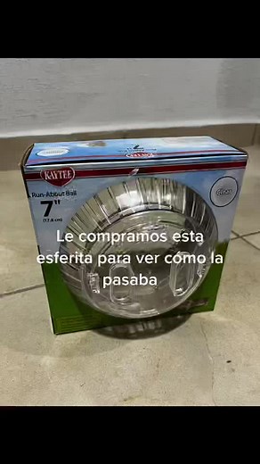Cuidado y precios de hámsters en Petco