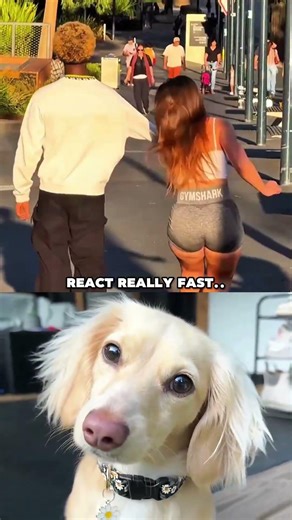 React really fast.. 💀