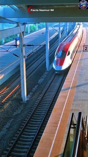 🚄 How Does the Bullet Train Run So Fast? #trending #facts #ytshorts