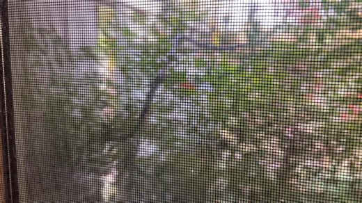 1.7K views · 32 reactions | Aaron Davis on Reels | Facebook