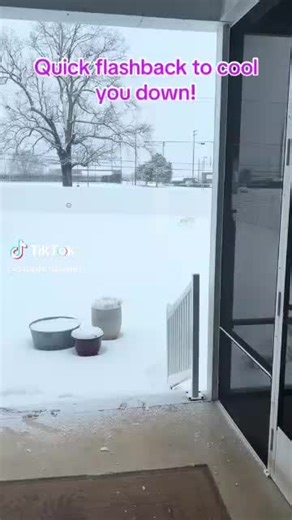 Staplerowner (@staplerowner)’s videos with original sound - Staplerowner