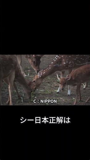新500円硬貨の偽造防止技術がすごい！肉眼では見えない微細文字の秘密とは？