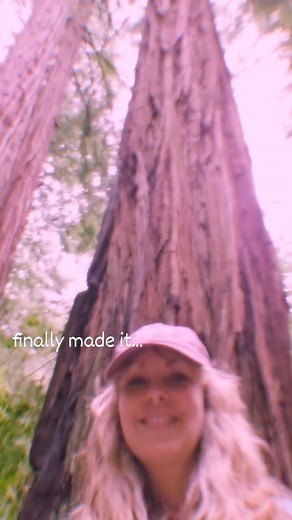 Finally made it to the giant redwoods here at Muir Woods north of San Francisco and I am so blessed to be beside these great giants. This was a bucket list item for me and I laid my hands on the trees and felt completely overwhelmed by the energy. Life changing... #muirwoods #redwoods #candicenight #california | Candice Night