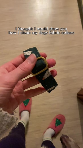 2K views · 58 reactions | As some of you have asked me about the cleaning process for the fabric collars, here’s a video how I do it velvet collars are actually easier to clean, you just have to brush the dirt off. Most of the time you don’t even need to wash them use warm water they dry faster i just prefer to leave them to dry overnight | Precious Doggo | Facebook