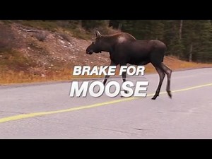 NH1 News on WBIN-TV. Local News for Local People. | The Pulse of NH