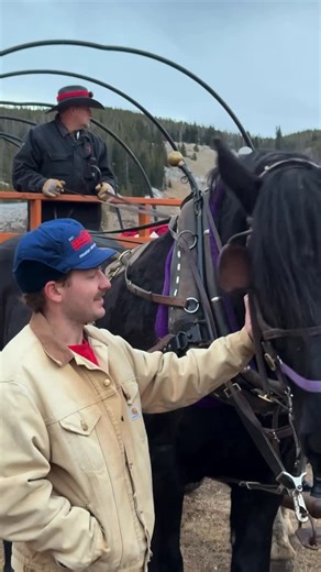Keystone Resort on Instagram: "POV: the whole #KeySquad gets together for a horse-drawn ride to a cozy cabin for dinner 😋 Our Keystone Stables dinner reservations are now open for the season! Gather your friends, invite the whole fam, or make it a romantic evening by for 2 and enjoy a beautiful ride through the Soda Creek Valley to a historic 1800s homestead for a hearty dinner complete with live music and dessert. Think Wild West meets Hallmark movie! Scenic rides (no dinner) are available at 