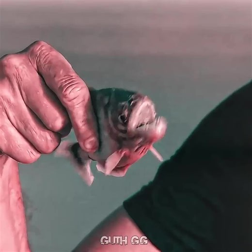 Grow Your Account on Social Media