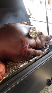 14M views · 11K reactions | Well that's one way to tell if the whole hog is done  Using GMG's Big Pig Trailer Rig, you can fit just about anything on this smoker! #pig #wholehog #renderedfat #pelletgrill #pork #gmgnation #greenmountaingrills #bbq #grill #barbecue | Green Mountain Grills | Facebook