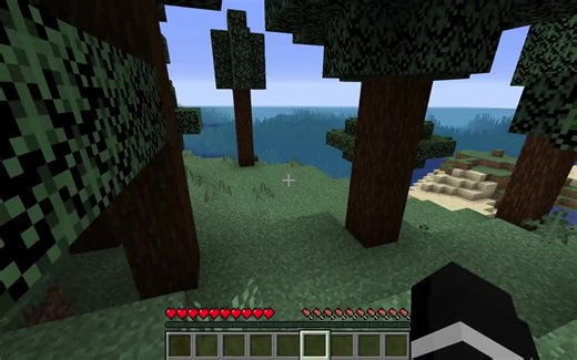 Loneliness in Minecraft: Finding Solace in the Virtual World