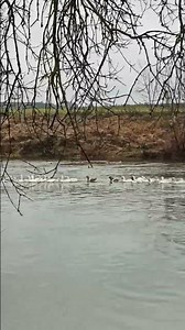 24 ноября 2025 г.