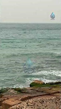 ايه اللي بيحصل في بحر الاسكندريه #تركاية_وحكاية_مع_مراد
