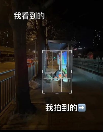 構圖的重要性，不同視角，不同感覺！#生活美學 #手機調色#對稱式構圖#攝影構圖＃透過鏡頭看世界 ＃構圖技巧 ＃治癒系 ＃構圖 ＃拍照構圖 #長焦空間壓縮感 #專業拍攝