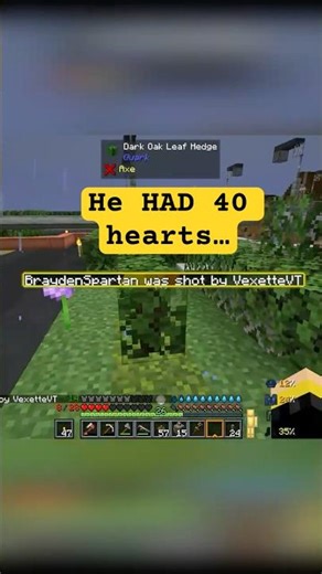 He HAD 40 hearts #shorts #minecraft