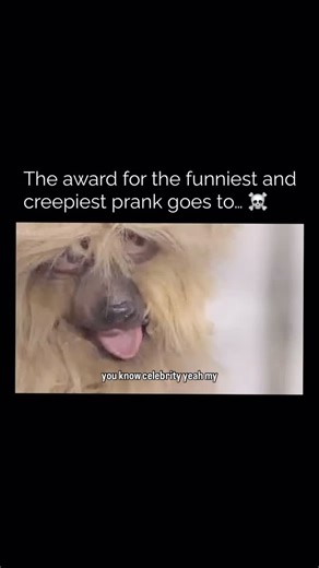 ConsumerCoverage on Instagram: "In one of the wildest stunts from Celebrity Bedlam, Lee Kern dressed up as a dog and sat in a real kennel, waiting to be adopted by a celebrity. 🐕 Fur, tail, licking hands — the whole thing. Totally unhinged and hilariously weird. 🎭 But the reality? Millions of real animals sit in shelters every day, hoping for a second chance. 🐾 They’re not actors. They’re not part of a prank. They’re just waiting to be loved. 💔 Adopting a rescue p