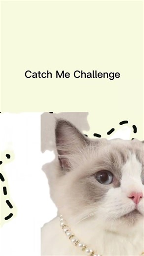 Catch Cute Cat Challenge 🐈 #game #catvideos #catlove