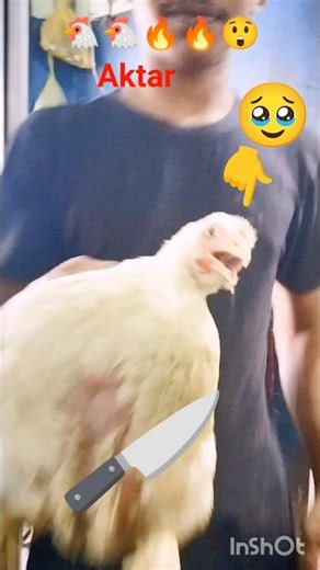 🔥🔥🐔✂️Cut chicken breasts, thighs, and wings with confidence#viral #love #chicken #chickencuttin