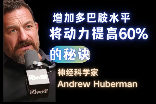 如何增加神奇的多巴胺并提高动力-Dr. Andrew Huberman【中英字幕】_哔哩哔哩_bilibili