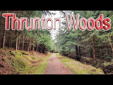 Trail trek Thrunton woods Northumberland hiking walking