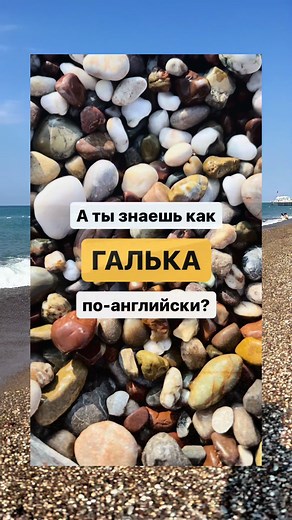 Exploring the Beauty of Pebbles and Their Stories