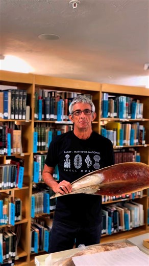 21K views · 597 reactions | Today learn about the noble pen shell (혗혪혯혯혢 혯혰혣혪혭혪혴), a large species of Mediterranean bivalve!#shells #shellmuseum #malacology #sanibel | Bailey-Matthews National Shell Museum & Aquarium | Facebook