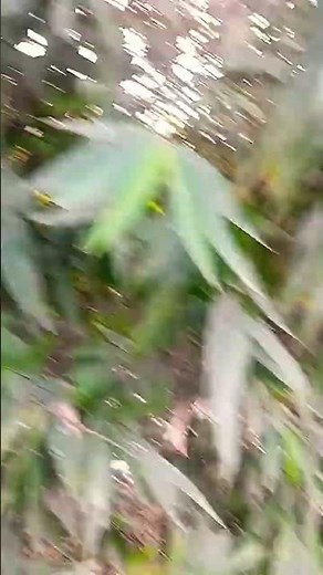 Daravani jagah Bhutiya film Bhutiya badhiya movie #ghost