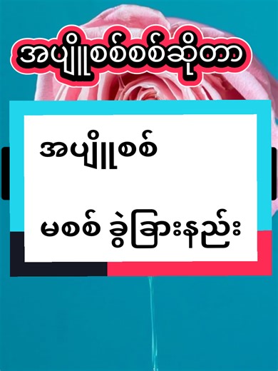 Understanding Female Breast Health: Essential Insights