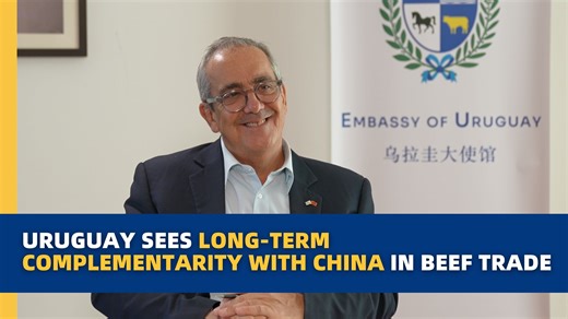 Uruguay sees long-term complementarity with China in beef trade As President Yamandú Orsi visits China, Uruguay's beef trade is in the spotlight. 🥩 In 2025, exports to China exceeded $860 million, up 14% year on year. Uruguay's National Meat Institute says smoother trade procedures and closer cooperation are helping bring high-quality beef to Chinese tables. #Uruguay #China #Beef | CGTN Frontline