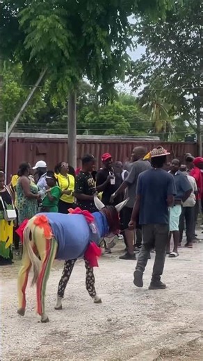 Donkey Carnival – Jamaica Style!” 🐴🇯🇲
