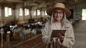 Attractive aged woman walking at goat farm and using tablet