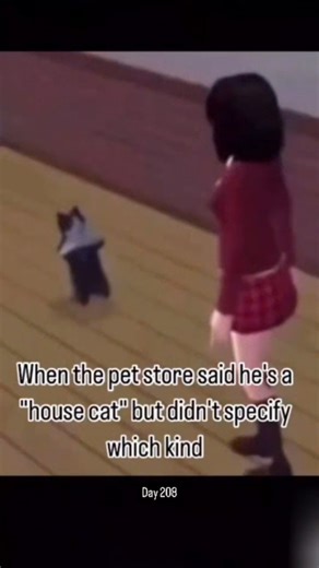 da daily Cat of da House. on Instagram: "Da Cat breaks it down for yo for the 208th time. ------------------------- The music is called Eatin' Good ------------------------- Specs about Citroen Xsara Vts 2.0 16v 1998 Dimensions : Length : 416.7 cm / 164.06 inches Width : 169.8 cm / 66.85 inches Height : 140.5 cm / 55.31 inches Curb Weight : 1190 kg / 2624 lbs Num. of Seats : 5 seats Seat distribution : 2+3 Trunk capacity : 408 L / 14.4 cu-ft Engine : Fuel type : Petrol Engine type : Inline 4 Eng