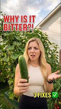 Why Your Cucumbers So Bitter? 3 Causes and Exact Fixes 🥒 #cucumber