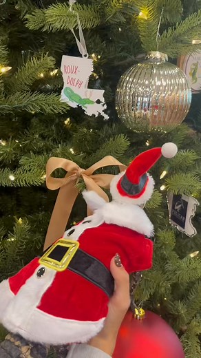 🎅🐊 Did you know Santa is coming to the Gator Chateau!? And no, not our Santa Gator — the real one! 🎄 Join us on Thursday, December 4th from 5:00–6:30 PM for Pictures with Santa! Admission: $5 per child · Parents are free What’s Included: ✨ A professionally edited photo with Santa (uploaded to an online gallery for you to download) 🍪 A tasty cookie ☕ Hot chocolate 🎁 Toy Drive: We’ll also be collecting new, unwrapped toys for our holiday toy drive. All donations will go to local children in n