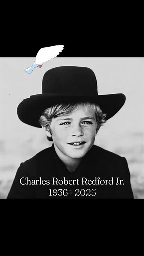 4K reactions · 168 shares | Magnolia Emporium on Reels | Facebook