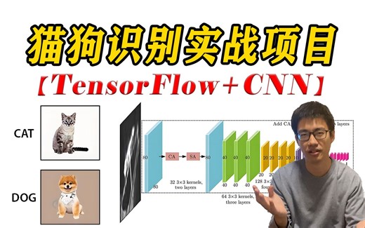 基于TensorFlow+CNN实现猫狗识别，迪哥带你1小时手撕项目源码，轻松搞定毕设！