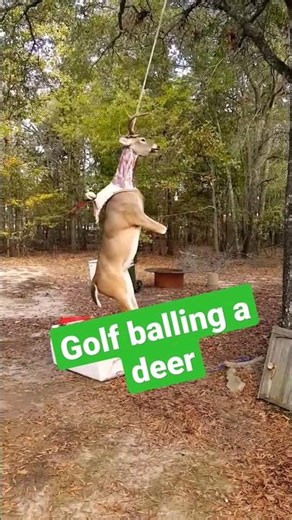 how to skin a deer the redneck way #shorts