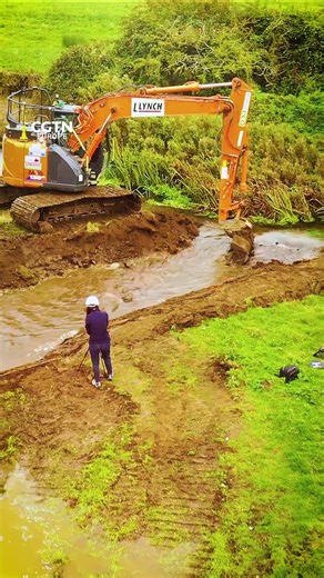 Why restore a river?