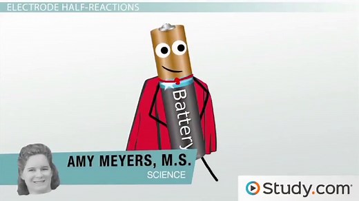 Anode vs. Cathode in Electrochemical Cells | Reaction & Notation