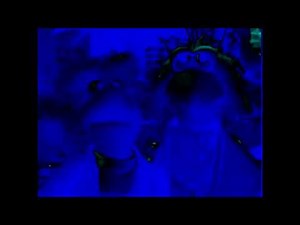 Fraggle Rock Theme Song | G-Major (Gradient Map)