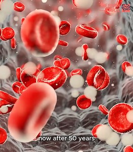 25K views · 102 reactions | Scientists Identify New Blood Group After 50 Year - The discovery of the MAL blood group is a significant breakthrough in hematology. However, several questions remain unanswered. How does the absence of the AnWj antigen affect the overall health and function of red blood cells? Are there any specific health risks or complications associated with having the MAL blood type? | The Brain Maze | Facebook