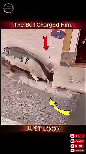 Bull Attack in the Street—How Far Will This Man Go to Survive?