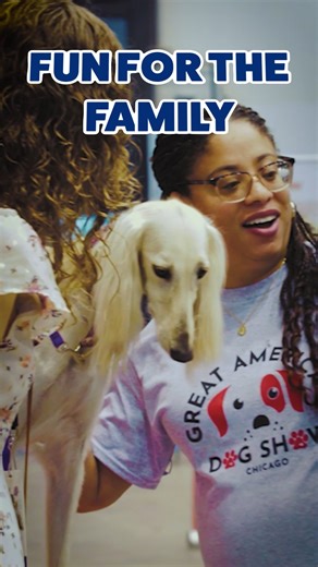 Great The Breeds! Did you know the American Kennel Club recognizes 201 different Dog Breeds? Come learn more at the Great American Dog Show at the Tinley Park Convention Center, January 2-4, 2026! Our Greet the Breeds program offers an opportunity to meet various breeds up close and talk to the expert owners and breeders who have devolted their lives to preserving their breed's heritage and history! Come find the right breed for you! Tickets available at https://greatamericandogshow.com/ | Great